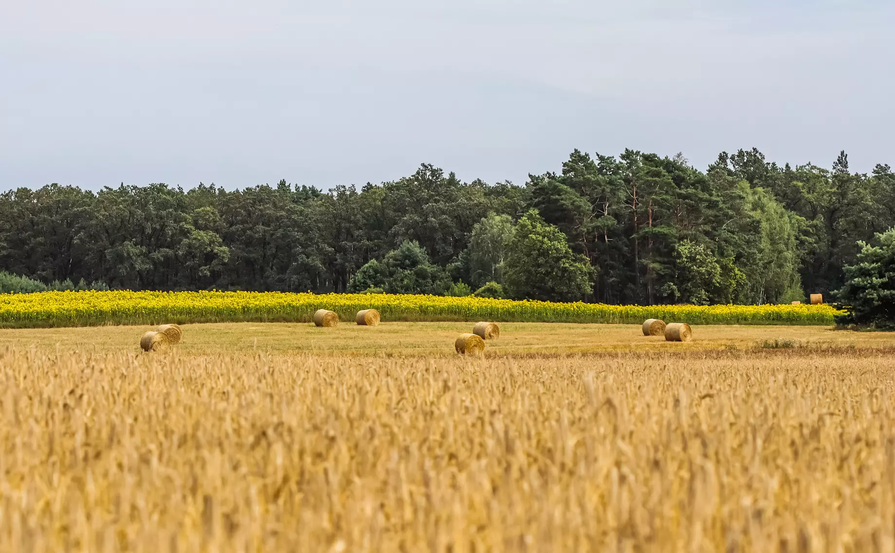 Stog siana na polu po zniwach