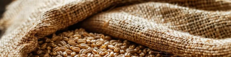 Ziarna w worku