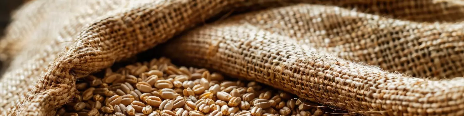 Ziarna w worku