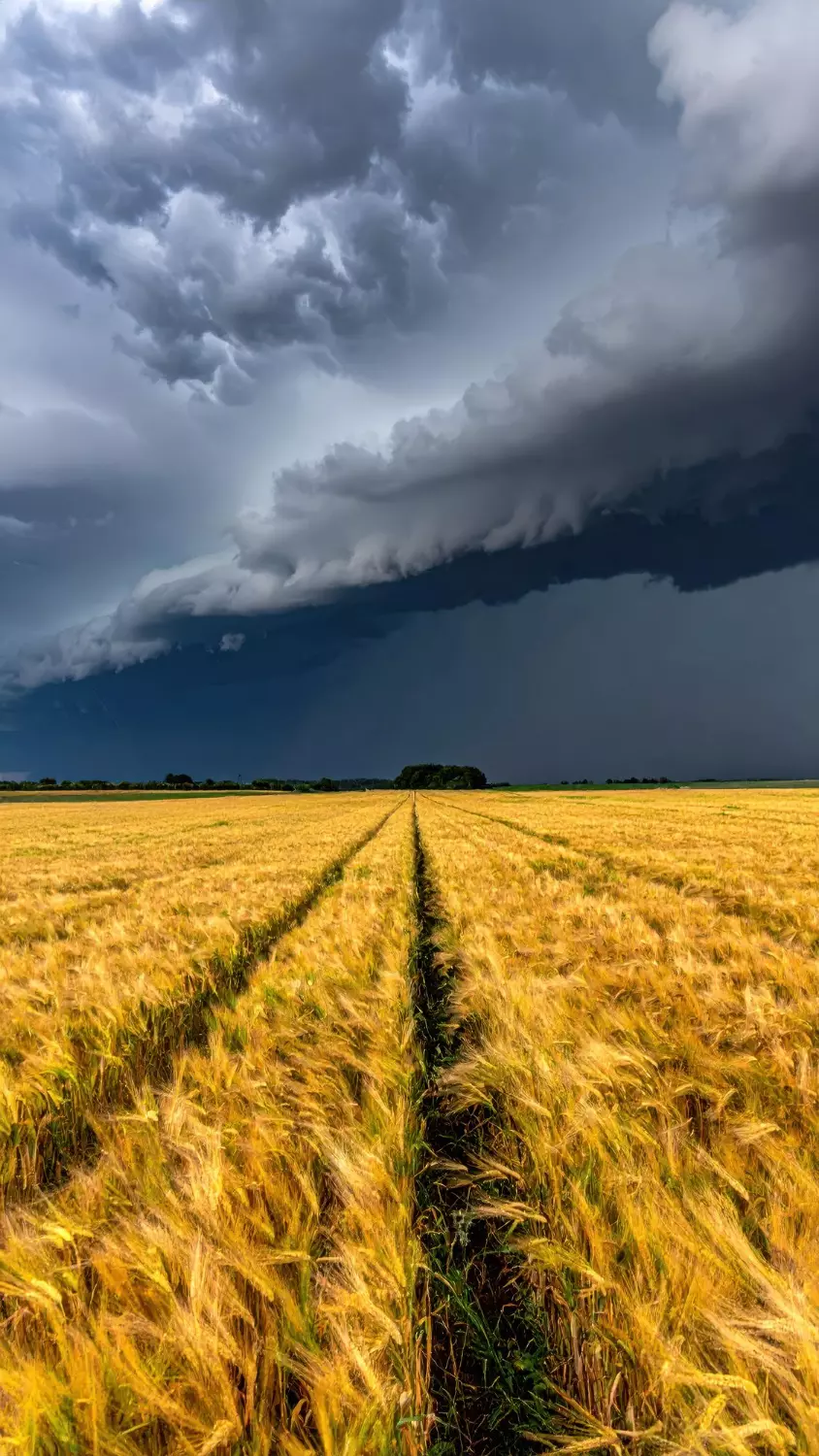 Ciemne niebo nad polem