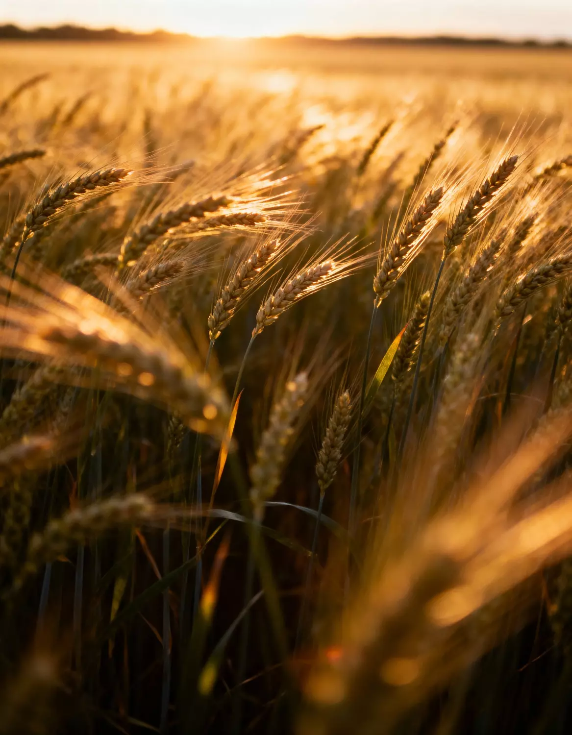 Piękny krajobraz przyrody