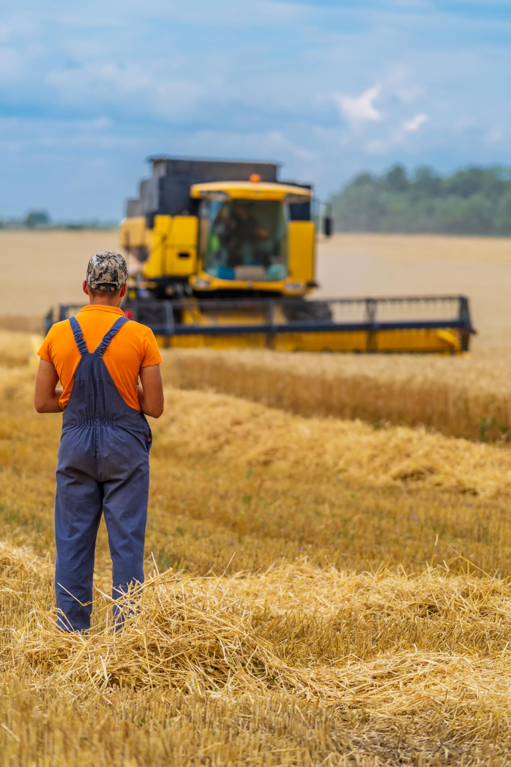 Rolnik stojący na polu