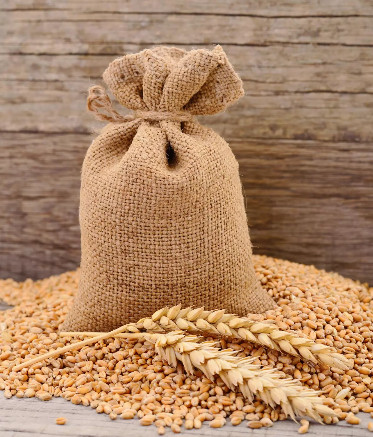 Worek z ziarnami i kłosem pszenicy